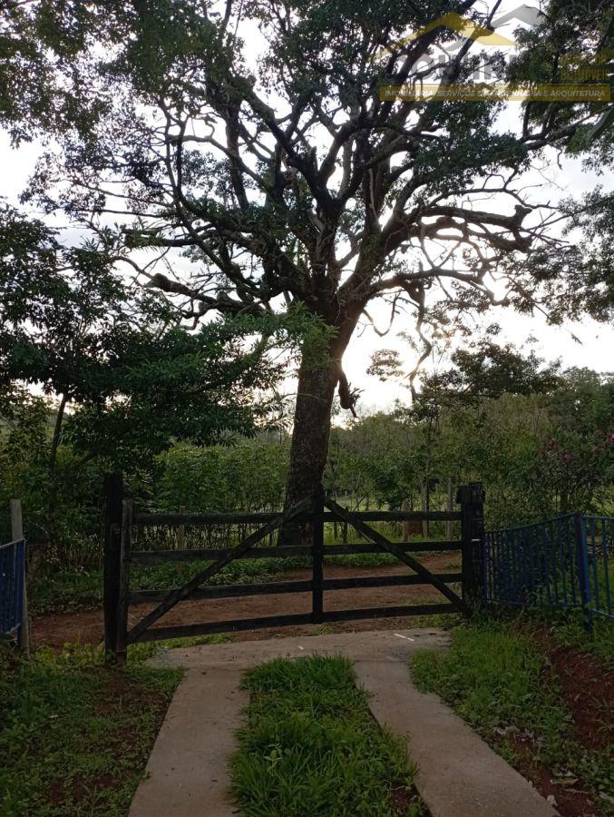 WhatsApp Image 2025-03-27 at 11.09.39 (3).jpeg